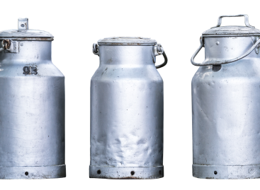 The producer price of raw milk increased, the export price fell significantly in one year