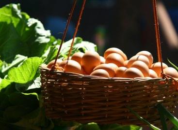 Pár perces reggeli receptekkel tanítja tojást sütni a diákokat TikTokon a Tojásszövetség