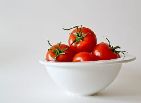 AKI: fewer tomatoes were grown in Hungary and globally