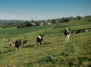 Lidl to invest £4bn into British food industry in 2023