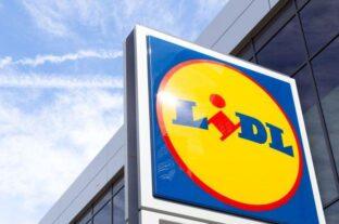 Lidl Switzerland Sees ‘Record’ Growth In Cheese Exports In 2024