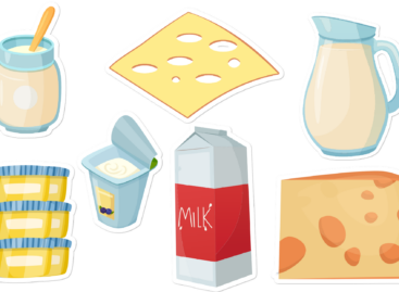 Egészségvédő tejtermékeket fejlesztett a MATE és a Fino Food Kft.