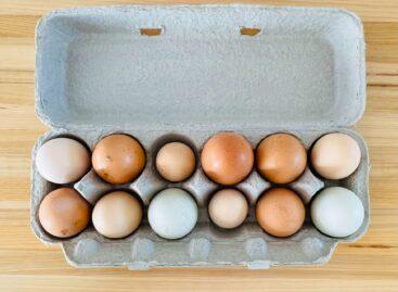 Fő a vásárlók feje a magas tojásárak miatt az Egyesült Államokban