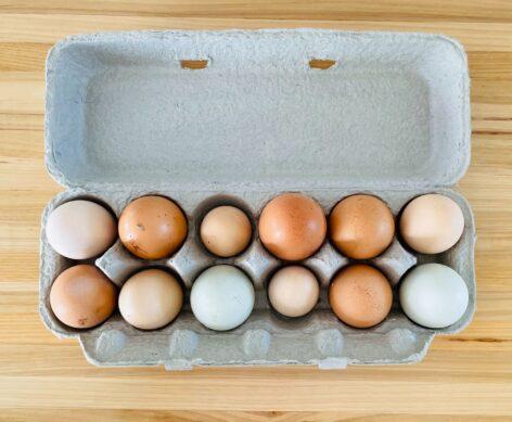 Közel 30 százalékkal zuhant a tojás ára