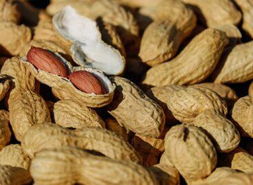 American peanuts: the formula for success