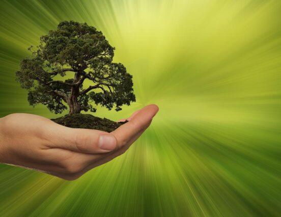 Our net greenhouse gas emissions have decreased by 42 percent compared to 1990