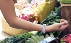 When you have to do it all at once: answers to the challenges of the sandwich generation