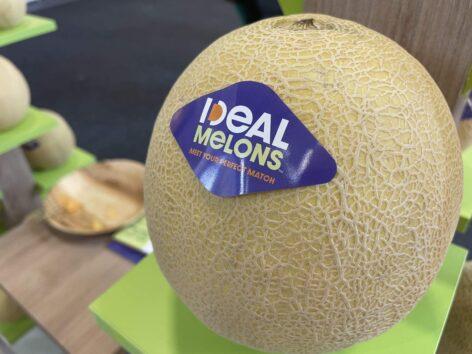 The Syngenta IDEAL melon won a silver medal at the Fruit Logistica exhibition