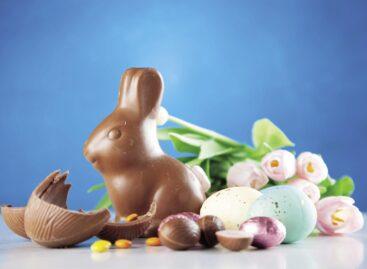 What has happened to last year’s chocolate rabbit?