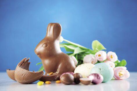 What has happened to last year’s chocolate rabbit?