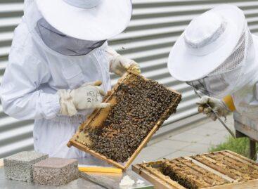Beekeeping is a key sector in Hungarian agriculture