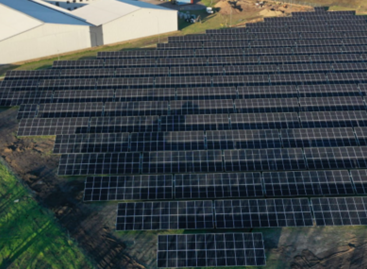 Arla Foods Opens New Solar Power Plant In Poland
