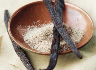 The world’s spices are in danger: climate change is not sparing incense and vanilla either