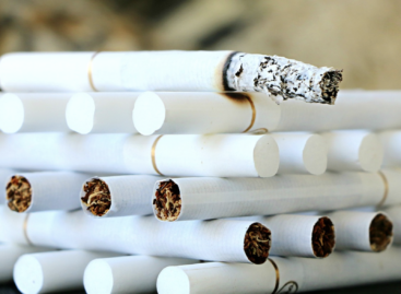 The Continental Tobacco Industry Group is supporting the halting of the decline in domestic tobacco production by increasing the basic tobacco purchase price by 50%