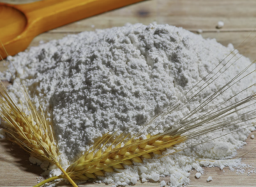 Nébih: the distributor recalled whole grain flour