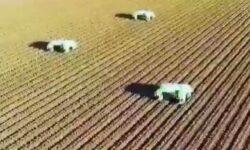 Okos földművelés – A nap videója