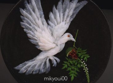 A GVH tájékoztató füzettel segíti a jogkövetésre törekvő vállalkozásokat és védi a magyar fogyasztókat