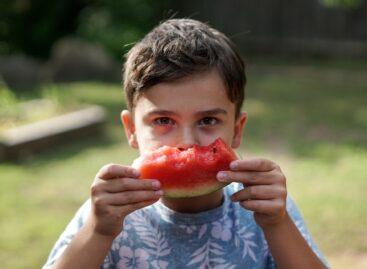 Parents of Gen Alpha seek health – and fast food
