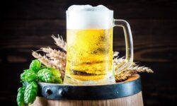 Beer consumption in Hungary decreased by 10 percent in the past year