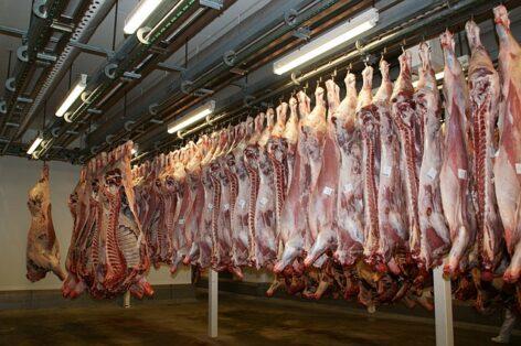 Last year, fewer animals were slaughtered in slaughterhouses than the year before
