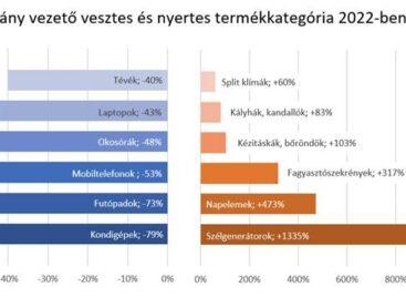 E-commerce was also transformed by restrained consumer consumption