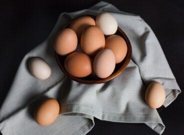 The price of eggs would not go down if the price cap were introduced at the end of April
