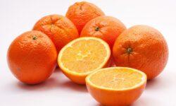 Global orange juice market in transition