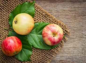 More apples are sold this year than last year