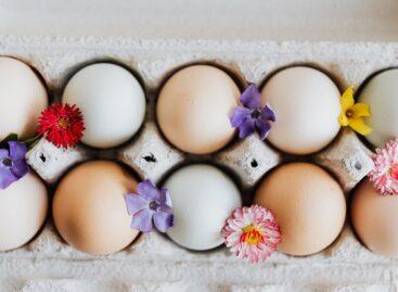 Association of egg producers: there will be no shortage of eggs in the coming days either