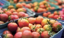 KSH: the European Population Health Survey will end in the middle of next month