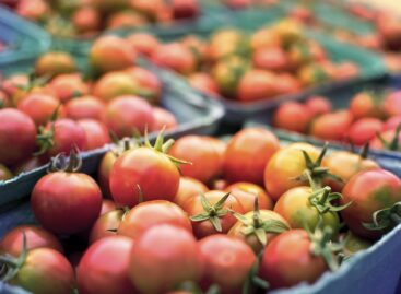 KSH: a jövő hónap közepén ér véget az Európai lakossági egészségfelmérés