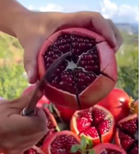 This is how to neutralize pomegranate – Video of the day