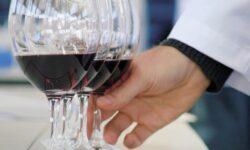 International wine competition in Budapest