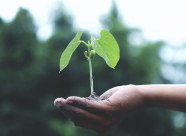 Ipsos Earth Day kutatás: a magyarok változásokat sürgetnek