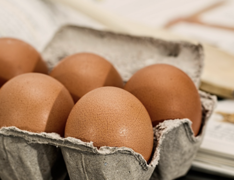 Gyermelyi Zrt handed over a new egg production facility