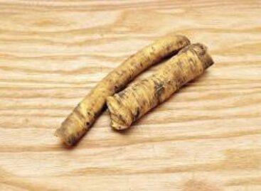 NAK-FruitVeB: there is also plenty of Hungarian horseradish for export