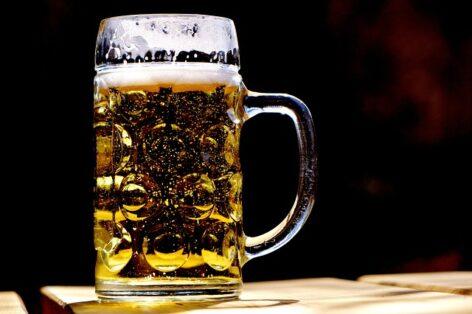 A Hungarian organic beer product line was developed from alternative cereals