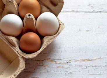 A tojás csomagolóhelyi ára 34 százalékkal magasabb a tavalyinál