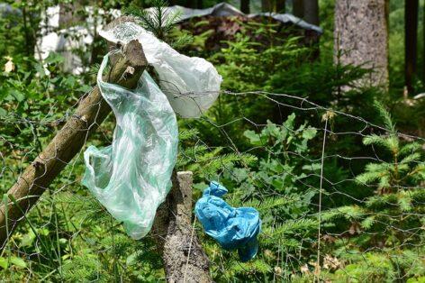 Greenpeace and Humus assess whether the bags sold as degradable actually decompose