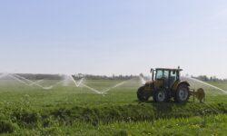 Ministry of Agriculture: the government continues to work to maintain the competitiveness of farmers
