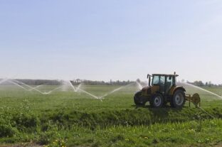 Ministry of Agriculture: the government continues to work to maintain the competitiveness of farmers