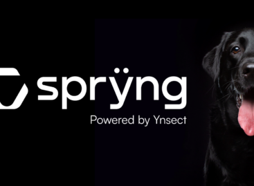 Ÿnsect launches mealworm petfood ingredients brand Sprÿng