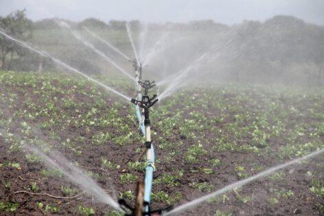 This year, you do not have to pay an agricultural water service fee for irrigation