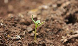 AM: One of Hungary’s greatest strategic assets is good-quality fertile soil