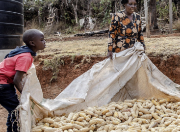 FAO Food Price Index declines in May
