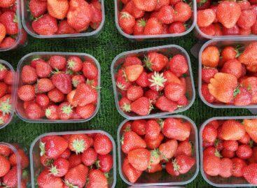 Worrying survey: 95% of strawberries contain harmful chemicals