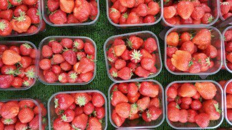 Lidl Introduces New Packaging For Strawberry Range