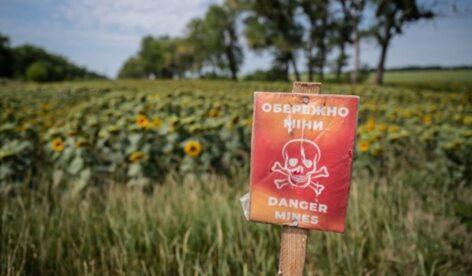 Ukrajna: A gazdák érdekében a FAO és a Világélelmezési Program közösen tisztítják meg a földeket a háború maradványaitól