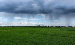 Agrometeorology: showers, thunderstorms may arrive in several waves