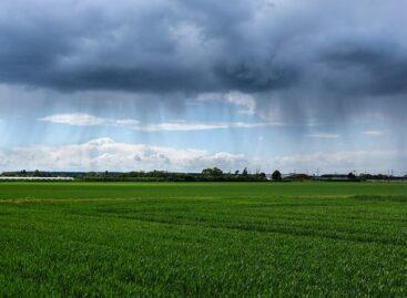 Agrometeorology: more precipitation may fall in Transdanubia, but it will hardly rain in many places in Tiszántúl